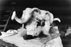 Hungary, Mohács, Kalkán Mátyás busómaszk-készítő műhelye., 1981, Szebeni András, mask, Fortepan #304040