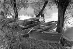 1981, Szebeni András, ladik, Fortepan #304063