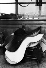 Magyarország, Budapest IV., Templom utca, Pánczél Miklós szíjgyártó és nyeregkészítő műhelye., 1981, Szebeni András, Budapest, lószerszám, Fortepan #304137