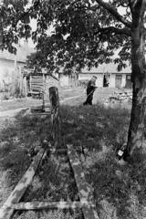 Magyarország, Tapolca, kötélgyártó / kötélverő., 1981, Szebeni András, kötélgyártó, Fortepan #304148