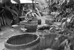 1981, Szebeni András, Fortepan #304160