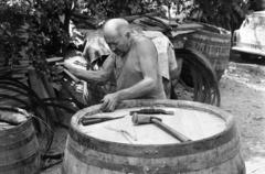 1981, Szebeni András, Fortepan #304165