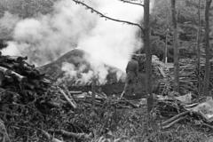 1981, Szebeni András, Fortepan #304172