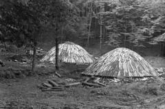 1981, Szebeni András, Fortepan #304173