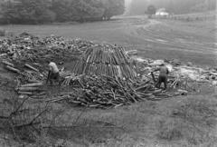 1981, Szebeni András, Fortepan #304184