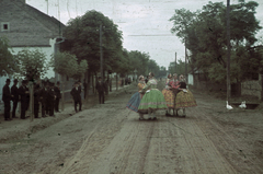 Szerbia, Doroszló, 1941, Fortepan, falu, színes, tánc, utcakép, életkép, népviselet, liba, Fortepan #3042