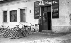 1966, Beszeda László Zoltán, Fortepan #304210