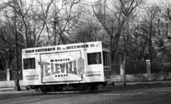 1960, Beszeda László Zoltán, Fortepan #304226