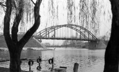 1975, Beszeda László Zoltán, Fortepan #304245