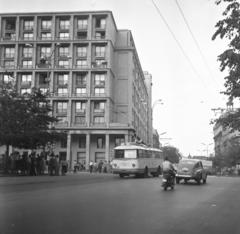 1961, Bán Tamás, Fortepan #304382