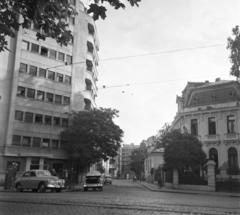 1961, Bán Tamás, Fortepan #304383