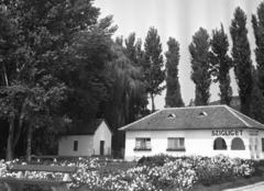 1959, Bán Tamás, virágágyás, épület, Fortepan #304397