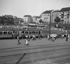 1961, Bán Tamás, Fortepan #304416