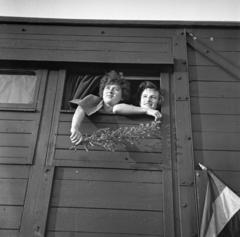 1955, Bán Tamás, Fortepan #304435