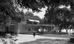 1962, Bán Tamás, Fortepan #304456