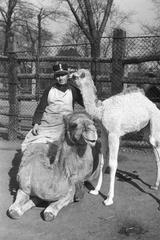 1937, Inkey Tibor, Fortepan #304523