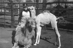 1937, Inkey Tibor, Best of, fondness, Fortepan #304524