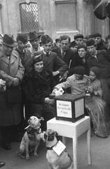 1936, Inkey Tibor, Fortepan #304530