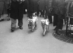 1936, Inkey Tibor, Fortepan #304533