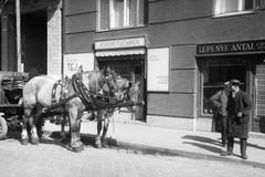 1939, Inkey Tibor, Horse-drawn carriage, Fortepan #304585