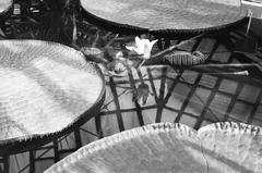 1939, Inkey Tibor, Fortepan #304731