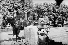 1938, Inkey Tibor, Fortepan #304811