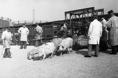 1940, Inkey Tibor, Fortepan #306210