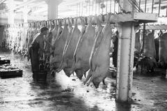 1940, Inkey Tibor, Fortepan #306211