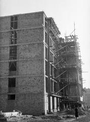 1938, Inkey Tibor, Fortepan #306319