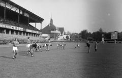 1939, Inkey Tibor, Fortepan #306416