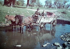 1935, Fortepan, village, colorful, horse, chariot, coach, man, boy, double portrait, stream, Fortepan #3068