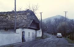 Hungary, 1961, Gazda Anikó, Fortepan #307003