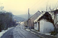 Hungary, 1961, Gazda Anikó, Fortepan #307007