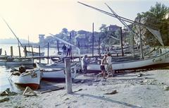 1969, Gazda Anikó, Fortepan #307015