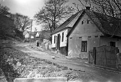 Magyarország, 1960, Gazda Anikó, Fortepan #307030