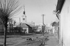 Magyarország, 1960, Gazda Anikó, Fortepan #307033
