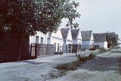 Magyarország, 1960, Gazda Anikó, Fortepan #307036