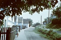 Magyarország, 1960, Gazda Anikó, Fortepan #307038