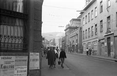Magyarország, 1958, Gazda Anikó, Fortepan #307052