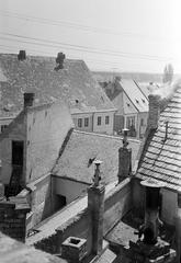 Magyarország, 1966, Gazda Anikó, Fortepan #307059