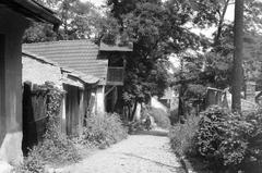 Magyarország, 1958, Gazda Anikó, Fortepan #307066