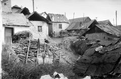 Magyarország, 1958, Gazda Anikó, Fortepan #307076