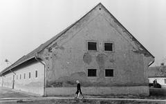 Magyarország, 1960, Gazda Anikó, Fortepan #307094