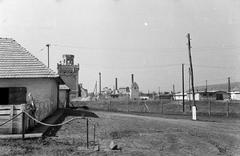 Magyarország, 1960, Gazda Anikó, Fortepan #307097