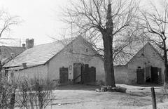 Magyarország, 1960, Gazda Anikó, Fortepan #307098