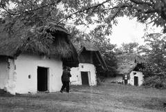 Hungary, 1957, Gazda Anikó, Fortepan #307110