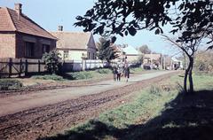 Hungary, 1965, Gazda Anikó, Fortepan #307112