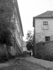 Magyarország, 1963, Gazda Anikó, Fortepan #307138