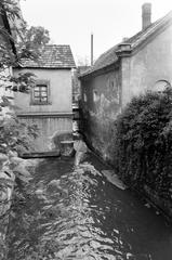 Magyarország, 1963, Gazda Anikó, Fortepan #307142