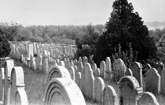 Magyarország, 1963, Gazda Anikó, Fortepan #307156